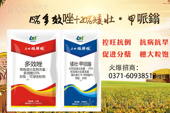 С���������ݲ��ɓ������I(y��)������Ч��������