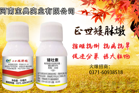 С���������ݲ��ɓ������I(y��)������Ч��������