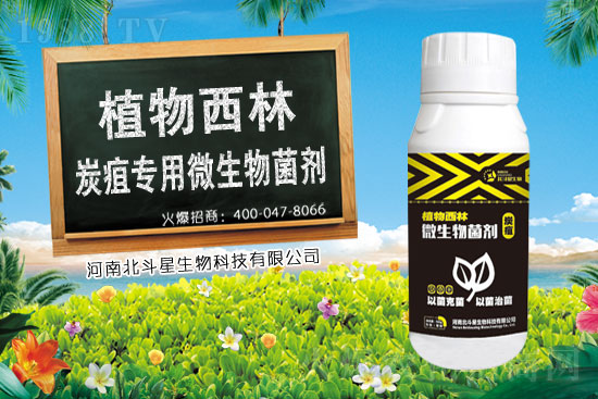 2021��2��24�՚�����ԭˎ�r������