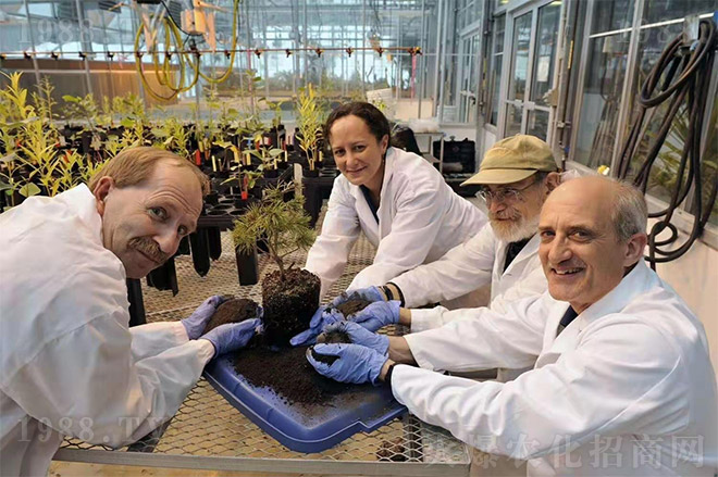 ���̼���