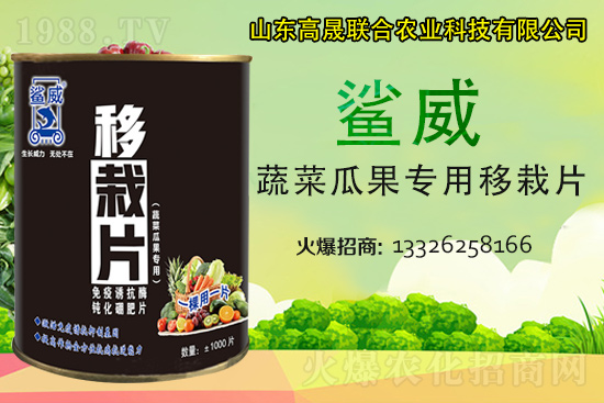 �����������������L������...���߲˶�ֲ�ؿ�