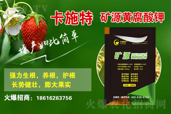 ���ջ����r������Xһ����2021��3��19�ջ����r������