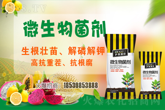 ��ݮ�����F���l���l(f��)������ҪԴ��ʲô������