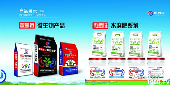 ���˟oζ���ϲ����������㡱�ǻ����ǵĵ���