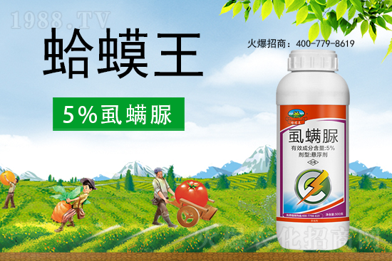 ʭ����������ô�ӣ����x(ch��ng)���c(di��n)��ʲô��