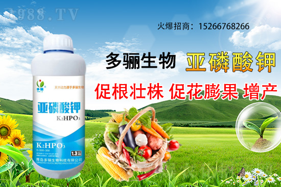 3�·��m�ϷNֲʲôˎ������Щˎ�ķNֲǰ������ٍ�X