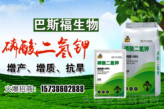 С���r��F�ڶ����Xһ�������������߄������