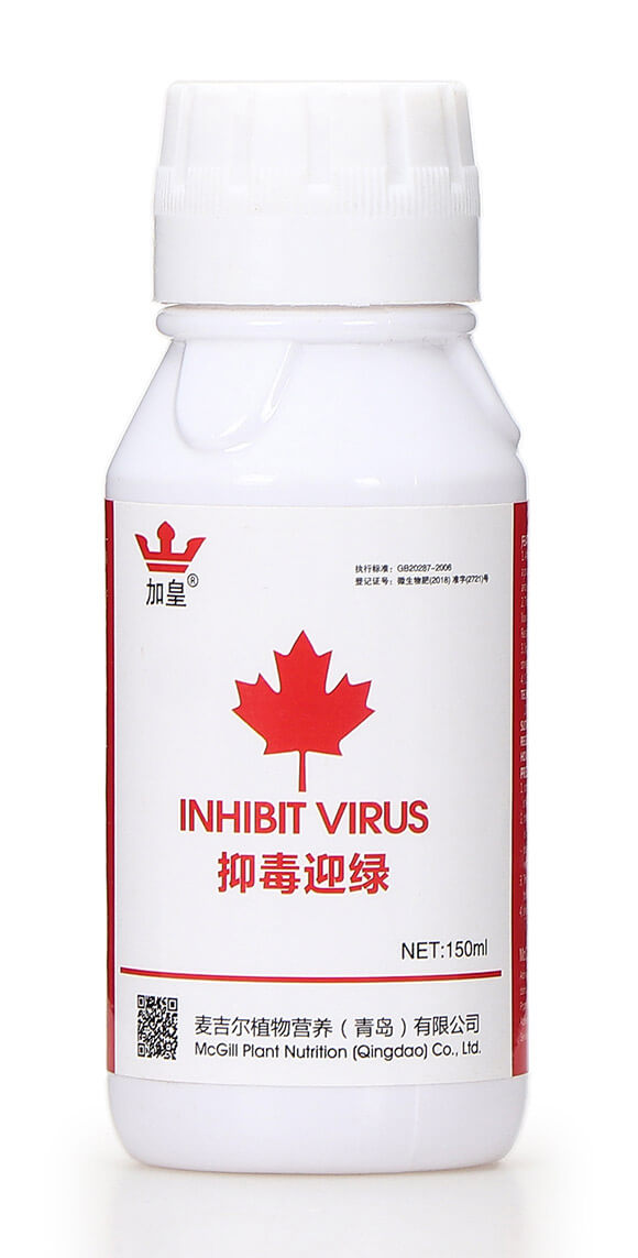 抑毒迎綠（專治病毒?。?綠肥5