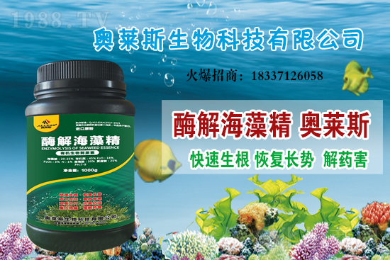 �󶹃r(ji��)��߀���ϝq�᣿���մ󶹃r(ji��)������