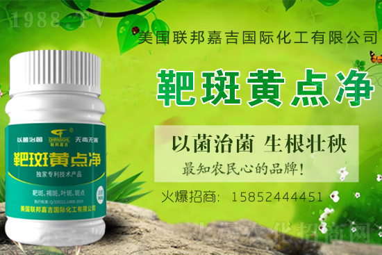 2021������һ���^(q��)�R������a(ch��n)���g(sh��)��Ҋ(ji��n)