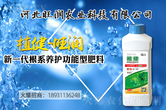 �{(l��n)ݮ������ô�Nֲ���{(l��n)ݮ����ķNֲ���޼����ݼ��g(sh��)��