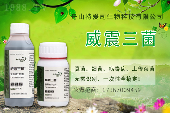 �������r(ji��)��