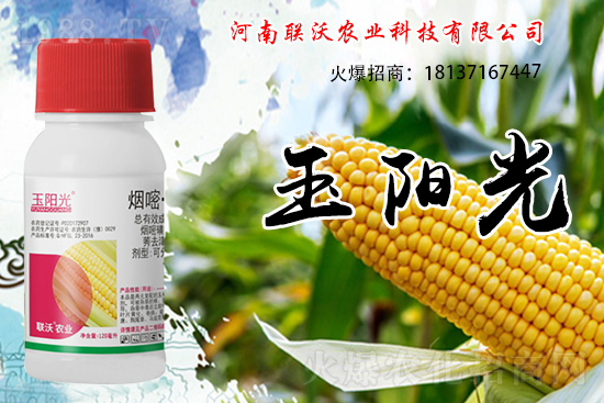 ���׳��ݞ�ʲô�x����������������݄���δ���