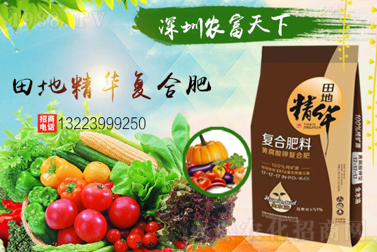 ��������(j��)���������A���r(n��ng)�������ٺ�1988.TV��(chu��ng)���x����