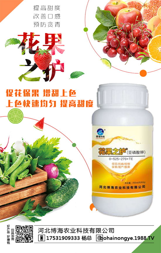 �����r(n��ng)���ٴ����v���r(n��ng)�����̾W(w��ng)����(sh��)�F(xi��n)��I(y��)�°l(f��)չ��