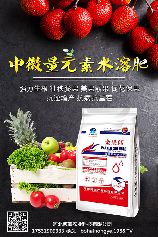 �����r(n��ng)���ٴ����v���r(n��ng)�����̾W(w��ng)����(sh��)�F(xi��n)��I(y��)�°l(f��)չ��