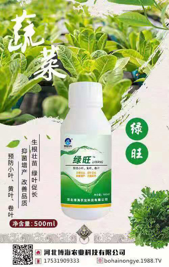 �����r(n��ng)���ٴ����v���r(n��ng)�����̾W(w��ng)����(sh��)�F(xi��n)��I(y��)�°l(f��)չ��