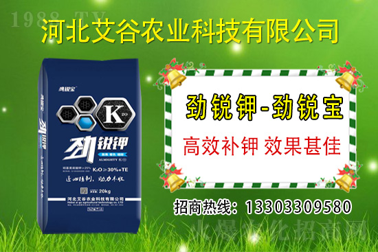 2021��6��1�Շ�(gu��)��(n��i)⛷ʃr(ji��)���߄�(sh��)����