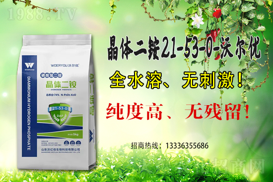 ���@�߃r�����ڇ���(n��i)���@�r�������Ո�6��15��