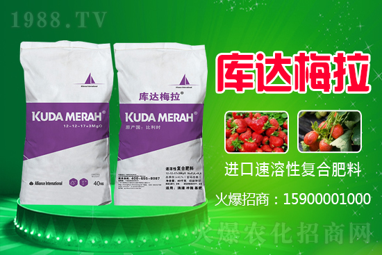 �t���Ǐ�(f��)�Ϸʶ����Xһ����2021.6.16���ʃr(ji��)�������(b��o)�r(ji��)