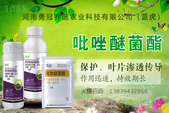 �����������¹چ̵ϣ��{(l��n)�����ٺ�1988.TV������(chu��ng)���x����