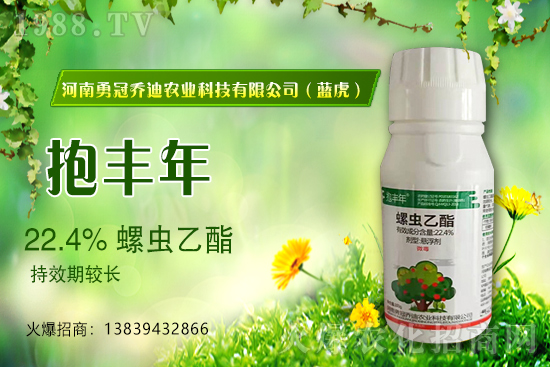 �����������¹چ̵ϣ��{(l��n)�����ٺ�1988.TV������(chu��ng)���x�ͣ�