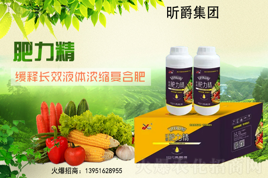 ���؃r��С���ϝq��2021��6��24�ո������؃r������һ�[