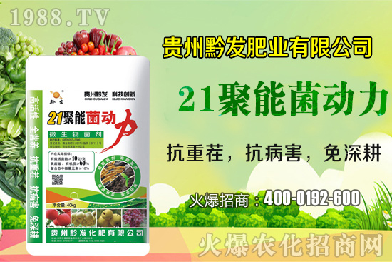 ǭ�l(f��)�ʘI(y��)�ٶȔy��1988.TV���y�ִ����������E��