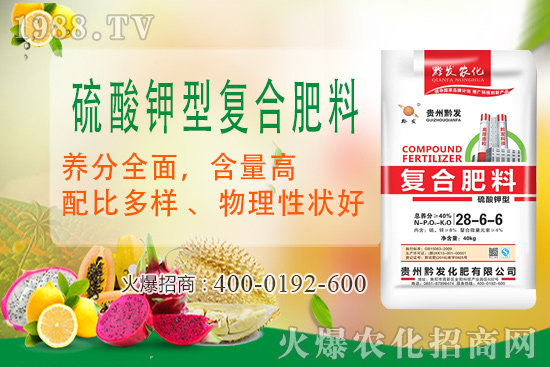 ǭ�l(f��)�ʘI(y��)�ٶȔy��1988.TV���y�ִ����������E��