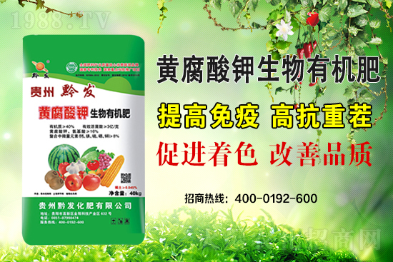 ǭ�l(f��)�ʘI(y��)�ٶȔy��1988.TV���y�ִ����������E��