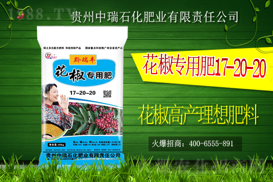     ����ʯ���ʘI(y��)�𱬁�(l��i)�u���ٺ����r(n��ng)�����̾W(w��ng)���_(k��i)��(chu��ng)���x�ͣ�