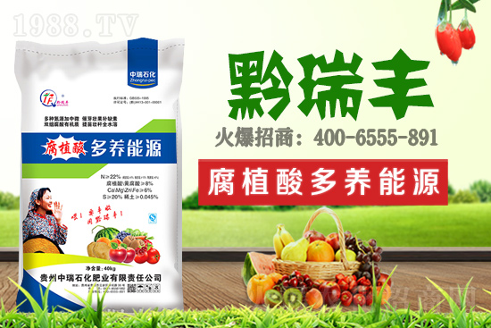     ����ʯ���ʘI(y��)�𱬁�(l��i)�u���ٺ����r(n��ng)�����̾W(w��ng)���_(k��i)��(chu��ng)���x����