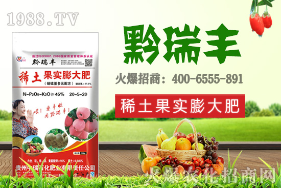 ����ʯ���ʘI(y��)�𱬁�(l��i)�u���ٺ����r(n��ng)�����̾W(w��ng)���_(k��i)��(chu��ng)���x����