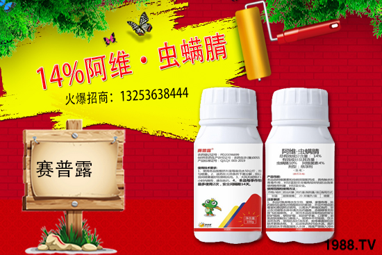 ِ��¶����𱬁�(l��i)�u���ٺ����r(n��ng)�����̾W(w��ng)�_��(chu��ng)���x����