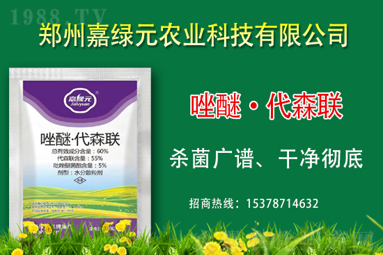 �������������ξGԪ�r(n��ng)�I(y��)�ٺ�1988.TV������(chu��ng)���x����