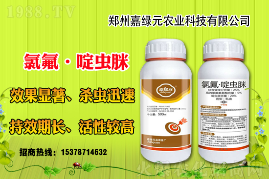 �������������ξGԪ�r(n��ng)�I(y��)�ٺ�1988.TV������(chu��ng)���x����