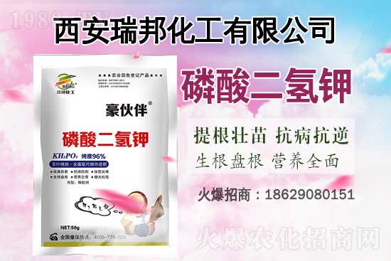 �Ȼ�⛸߃r(ji��)�\(y��n)����2021.6.29⛷ʃr(ji��)�������Ո�(b��o)