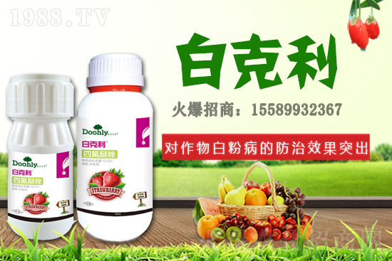 ��(gu��)�|���m(x��)�s1988.TV����(zh��n)�Ժ����P(gu��n)ϵ�������_(t��i)�A��