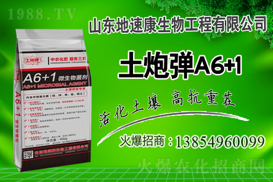    �����P(gu��n)ϵ�����A��ɽ�|���ٿ��c1988.TV�_����ƪ����