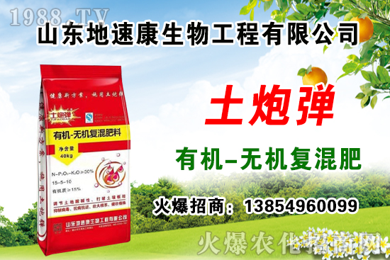    �����P(gu��n)ϵ�����A��ɽ�|���ٿ��c1988.TV�_����ƪ����