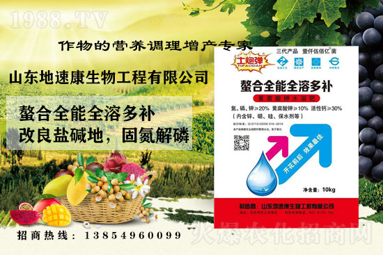    �����P(gu��n)ϵ�����A��ɽ�|���ٿ��c1988.TV�_����ƪ�£�