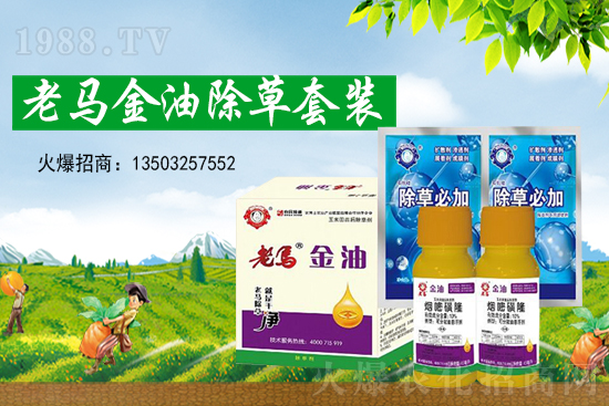 �ݸ�좃r��(chu��ng)�¸���2021��7��15�ղݸ�좃r���߄�