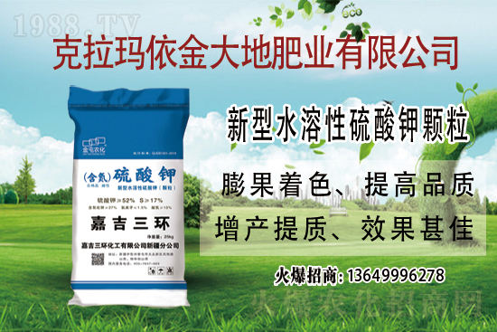 2021-7-24��(gu��)��(n��i)⛷ʃr(ji��)��������(b��o)