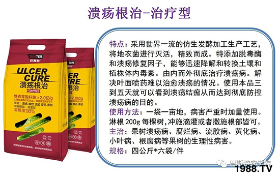 2021��8��12�ձ��h(hu��n)�򚢾����r���߄�