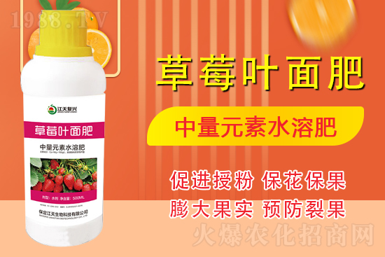 �����l(f��)չ������(chu��ng)δ�����������ﺞ�s1988.TV������(chu��ng)���x�ͣ�