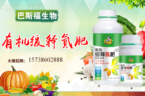 圣女果怎么施肥？圣女果追肥要點(diǎn)