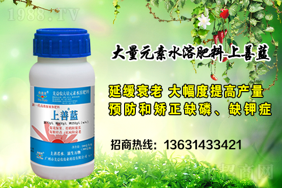 �V���������r(n��ng)�ٶȔy��1988.TV���y�ֹ���(chu��ng)��(zh��n)����