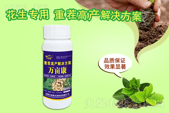 ���@����(w��n)������20219��10�����@�r(ji��)�������(b��o)�r(ji��)