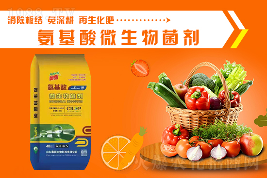 ���ՏͺϷʃr�������߄�2021��9��11��