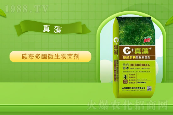 �Ȼ�⛃r��ƽ��(w��n)��2021��9��2�Շ���(n��i)⛷ʃr���߄�